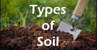 according-to-the-indian-council-of-agricultural-research-icar-the-partition-of-the-soil-of-india